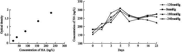 IWJ-12444-FIG-0003-b