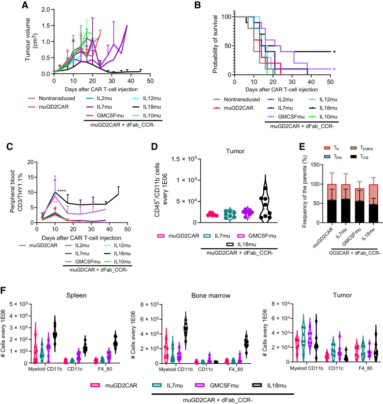 Figure 7. IL18 and GMCSF dFab_CCRs enhances adoptive GD2-specific mouse CAR T-cell immunotherapy against colon carcinoma immunocompetent animal models. A, Tumor volume quantification over time (n = 8). B, Kaplan–Meier survival curve (*, P ≤ 0.05, calculated via log-rank or Gehan–Breslow–Wilcoxon tests and Bonferroni-corrected α value). C, GD2 CAR T cells peripheral engraftment quantitated via flow cytometry by the expression of murine CD45, murine CD3 and THY1.1 (n = 8, day 10 one-way ANOVA; **, P ≤ 0.01; ****, P ≤ 0.0001). D, Day10 GD2-specific CAR T cells tumor trafficking measured as number of THY1.1+ CAR T cells every 1 × 106 CD3+CD45+CD11b− lymphoid cells (n-8). E, Memory phenotype of murine THY1.1 CAR T cells in the tumor. Memory phenotype evaluated by the expression of CD62 L and CD44. Naïve T cells (TN, CD44−, CD62L+), effector memory (TEM) T cells (CD44+, CD62L+), central memory (TCM) T cells (CD44+, CD62L+) and terminally differentiated (TEMRA) T cells CD44−, CD62L−). Stacked bars show percentage of cells in each population markers per individual donor (n = 8). F, Myeloid cells quantification in spleen, bone marrow, and tumor defines by the expression of total CD11b (myeloid), CD11b/CD11c (dendritic cells), CD11b/F4–80 (macrophages), every 1 × 106 CD45+CD11b− cells (n = 8). All data are presented as mean ± SEM.