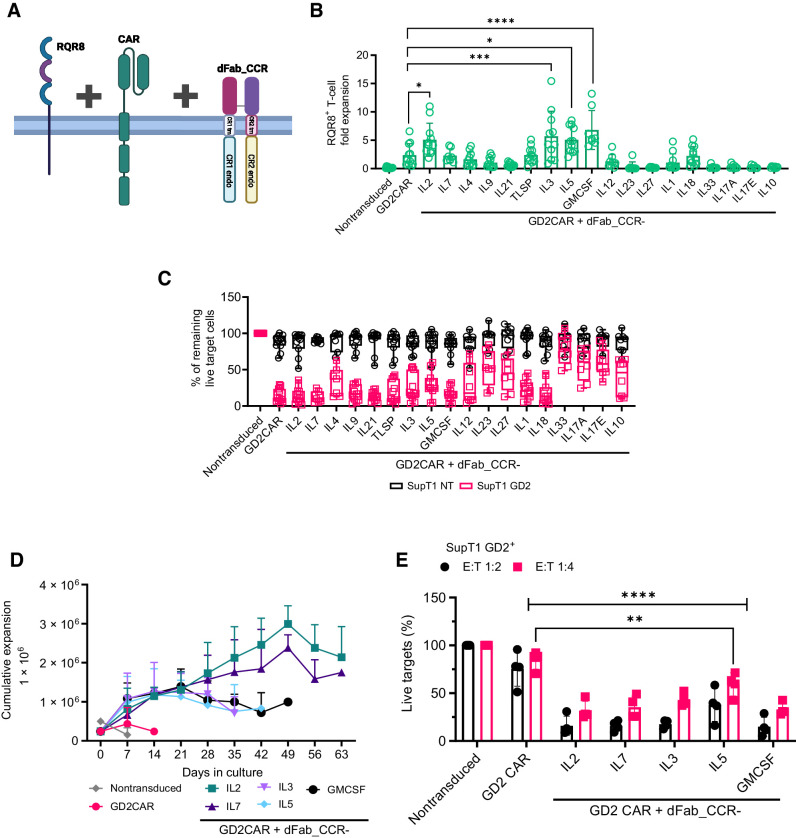 Figure 3. Coexpression of the dFab_CCRs with GD2 CAR in primary human T cells reveal differential effects on CAR T-cell functionality. A, Schematic of the of the tetra-cistronic γ-RV vectors coexpressing RQR8, 2nd generation 41bbζ GD2-specific CAR and dFab_CCR. The illustration was created with BioRender.com (RRID:SCR_018361). B, Day 7 quantification of in vitro proliferation of GD2-specific CAR T cells engineered with the library of dFab_CCRs, expressed as fold expansion of RQR8+CD3+ GD2 CAR T cells (n = 11, GD2CAR + dFab_CCR-IL7 n = 4, one-way, ANOVA; *, P ≤ 0.05; ***, P ≤ 0.001; ****, P ≤ 0.0001). C, Killing of SupT1-NT (black) or SupT1-GD2+ (red) after 48-hour coculture with CAR-T cells coexpressing the library of dFab_CCRs at a 1:4 effector:target ratio. Data show mean percentage (± SD) of live cells compared with nontransduced (NT) control (n = 11, GD2CAR + dFab_CCR-IL7 n = 4, two-way ANOVA). D, Extended in vitro persistence of IL2, IL7, IL3, IL5, or GMCSF dFab_CCR coexpressing GD2-specific CAR T cells cultured in cytokine-free complete cell culture media. Live cells were counted weekly using DAPI/acridine orange (AO)I staining. Data show mean 106 live cells (± SD; n = 6). E, Killing of SupT1-GD2+ after 48-hour coculture with GD2 CAR-T cells recovered after 7 days of cytokine starvation at 1:2 and 1:4 effector:target ratio. Data shows mean percentage (± SD) of live cells compared with NT control (n = 4, two-way ANOVA; **, P ≤ 0.01; ****, P ≤ 0.0001). All data are presented as mean ± SEM.