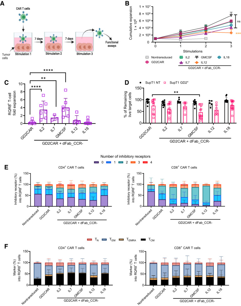 Figure 4. dFab_CCR coexpression sustains GD2-specific human CAR T-cell function after chronic antigen exposure. A, Chronic antigen stimulation experimental design. The first coculture was initiated with 1 × 106 GD2-specific CAR T cells together with 0.1 × 106 SKOV3 GD2+ cells for 7 days, in the absence of exogenous cytokines. For the second and third cocultures, T cells were harvested from the previous coculture and then replated in new culture medium with fresh tumor cells at the same 10:1 E:T ratio. The illustration was created with BioRender.com (RRID:SCR_018361). B, Cumulative expansion of selected GD2-specific CAR T cells from A after three rounds of coculture (n = 11, n = 4 GD2CAR + dFab_CCR-IL7, one-way ANOVA; ns P > 0.05; ***, P ≤ 0.001). C, Quantitated in vitro proliferation of GD2-specific CAR T cells recovered after three rounds of coculture (B) and cultured for 7 days in cytokine starvation condition. Proliferation expressed as fold expansion of RQR8+CD3+ GD2-specific CAR T cells (n = 11; GD2CAR + dFab_CCR-IL7 n = 4; one-way ANOVA; **, P ≤ 0.01; ****, P ≤ 0.0001). All data are presented as mean ± SEM. D, Killing of SupT1 nontransduced (NT; black) and GD2+ (red) after 48-hour coculture with GD2-specific CAR T cells recovered after three rounds of coculture (B) at 1:4 E:T ratio. Data show mean percentage (± SD) of live cells compared with NT control (n = 11; GD2CAR + dFab_CCR-IL7 n = 4, GD2CAR + dFab_CCR-IL7; two-way ANOVA; **, P ≤ 0.01). E, Exhaustion phenotype of CAR T cells after three rounds of chronic antigen exposure. Exhaustion evaluated by the expression of TIM3, LAG3, PD-1, or KLRG1 in either CD4+ (left) or CD8+ (right) T cells. Stacked bars show percentage of cells expressing 0, 1, 2, 3, or 4 markers per individual donors (n = 11; GD2CAR + dFab_CCR-IL7 n = 4). F, Memory phenotype of CAR T cells after three rounds of chronic antigen exposure. Memory phenotype evaluated by the expression of CD45RA and/or CCR7 in either CD4+ (left) or CD8+ (right) T cells. Memory phenotype defined as: naïve T cells (TN, CD45RA+, CCR7+), central memory (TCM) T cells (CD45RA−, CCR7+), effector memory (TEM) T cells (CD45RA−, CCR7), and terminally differentiated (TEMRA) T cells (CD45RA+, CCR7−). Stacked bars show percentage of cells in each population markers per individual donors (n = 11; GD2CAR + dFab_CCR-IL7 n = 4). All data are presented as mean ± SEM.