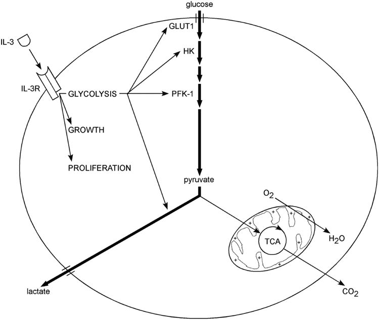 Figure 8