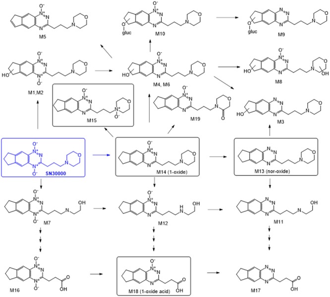 FIGURE 1