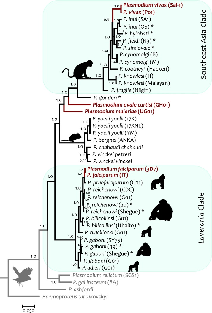 FIG 2