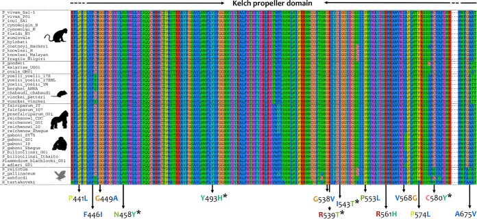 FIG 1