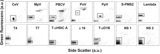 FIG. 1.