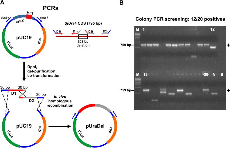 Fig 4