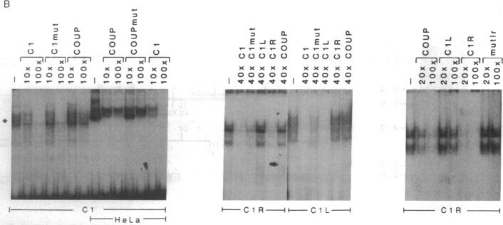 graphic file with name pnas01096-0017-a.jpg