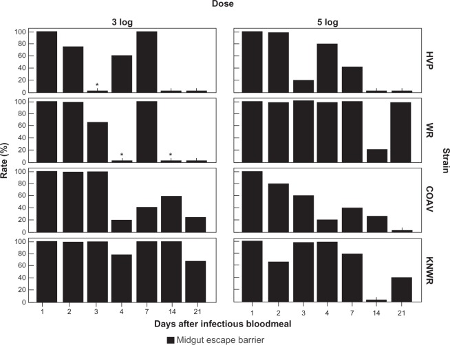 Figure 13