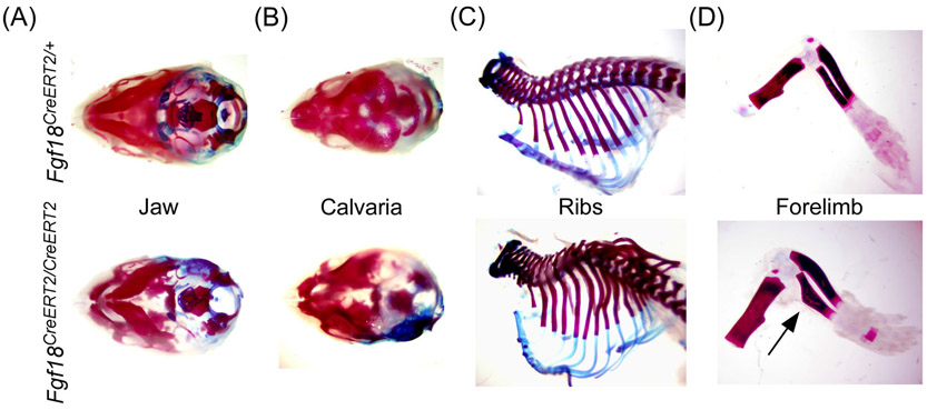 FIGURE 3