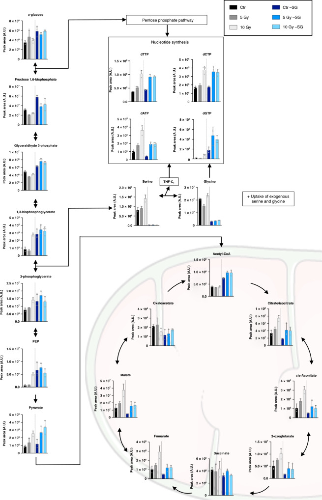 Fig. 3