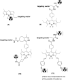 <b>FIG. 4.</b>
