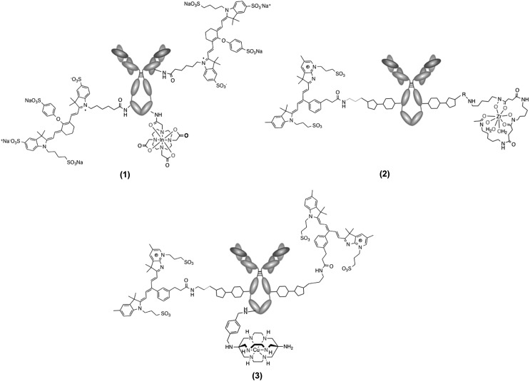 FIG. 2.