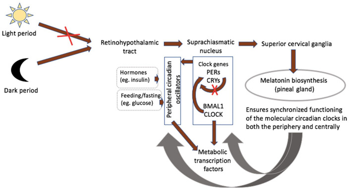 Figure 2.