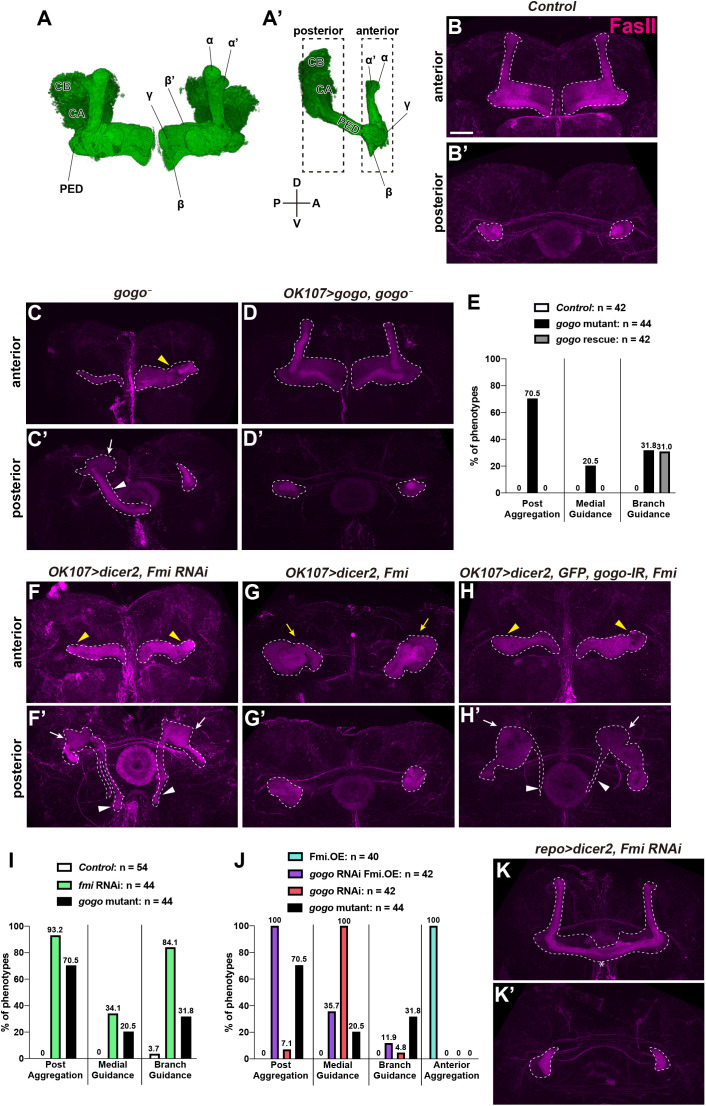 Figure 7—figure supplement 2.