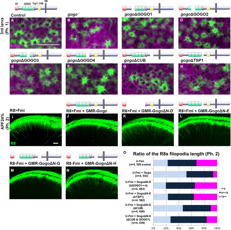 Figure 3—figure supplement 2.