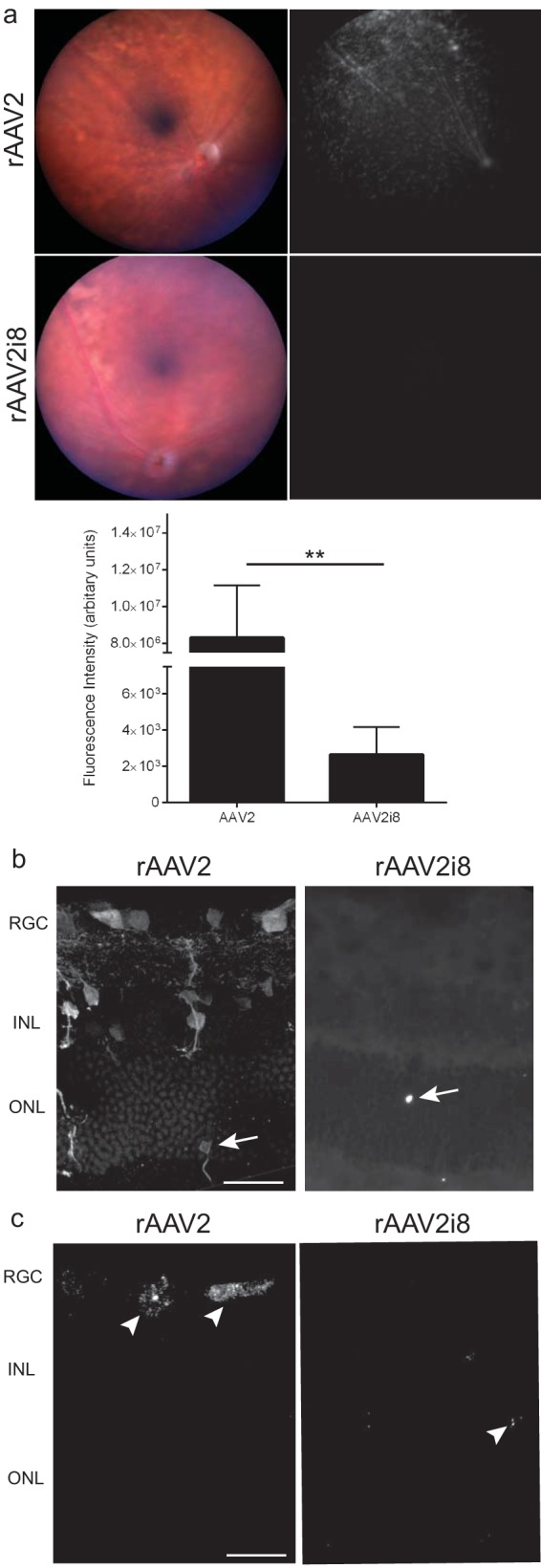 FIG 2