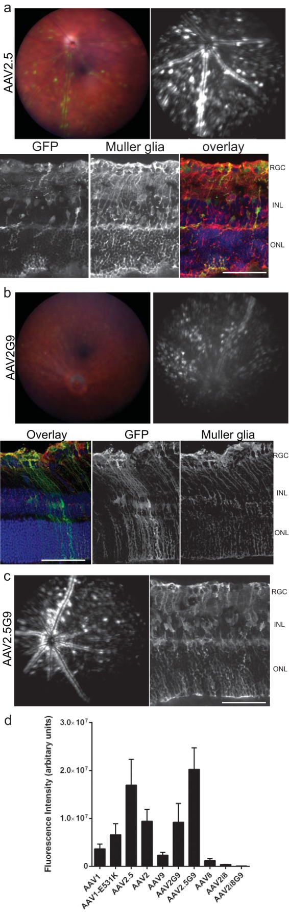 FIG 6