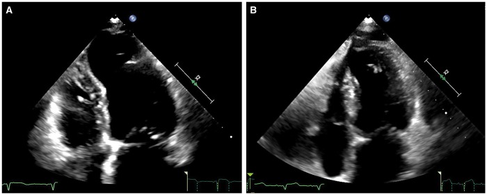 Figure 3: