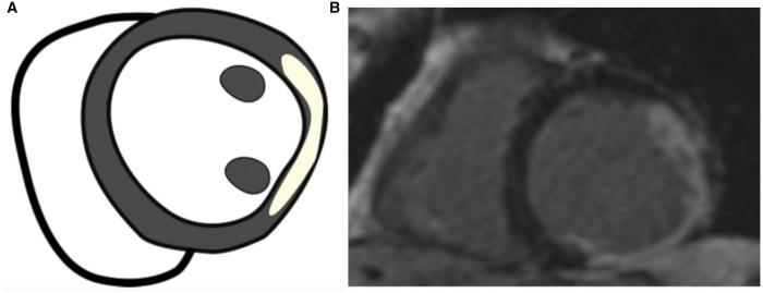 Figure 5: