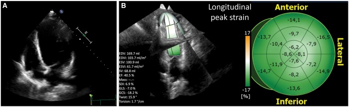 Figure 6: