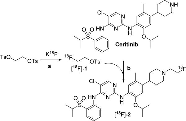 Scheme 2