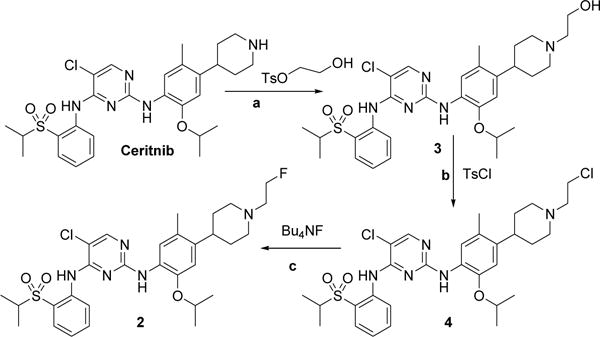 Scheme 3