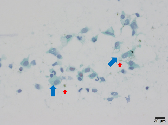 Fig. 3