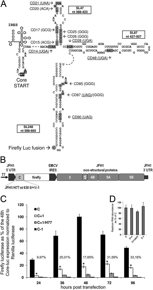 FIG 1