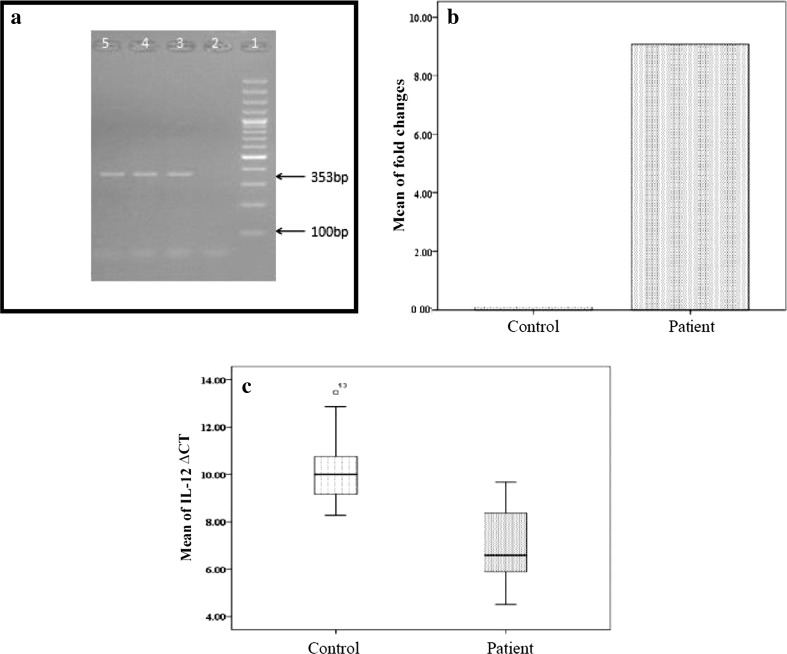 Fig. 1