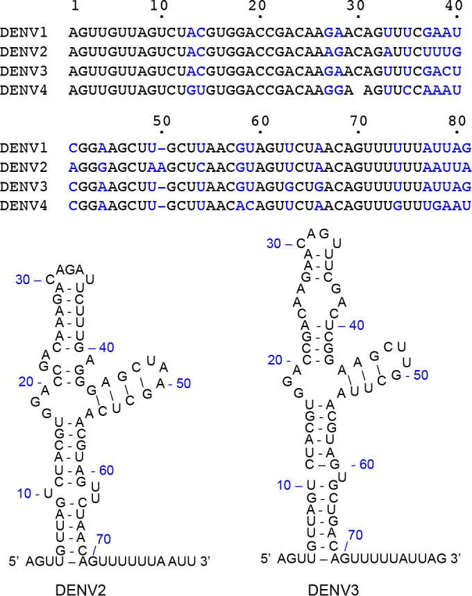 FIG 1