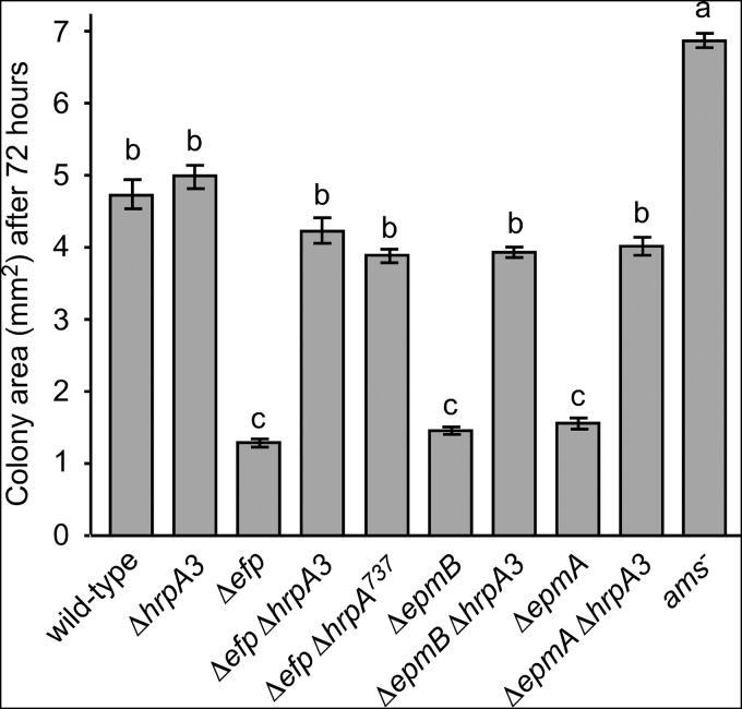 FIG 2