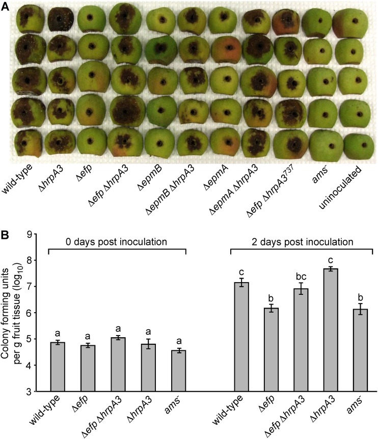 FIG 6