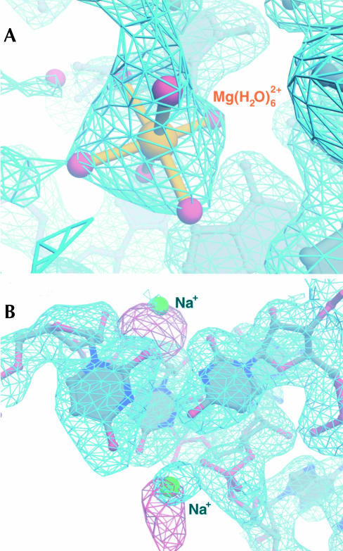 FIGURE 1.