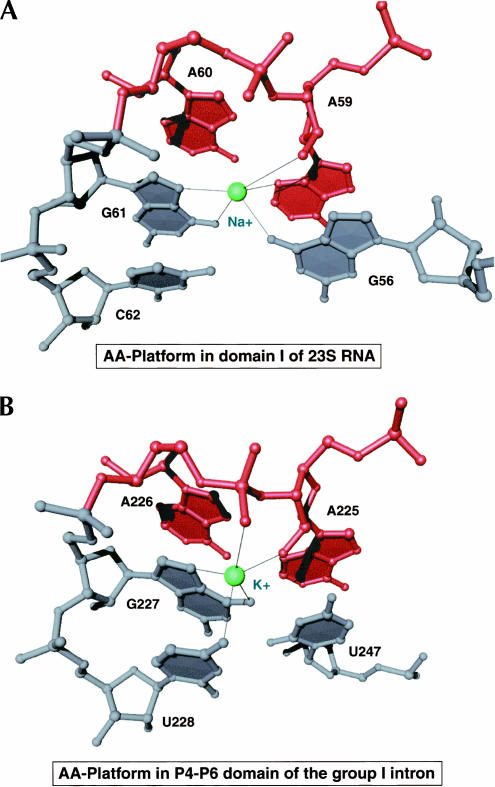 FIGURE 4.