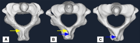 Fig. 4