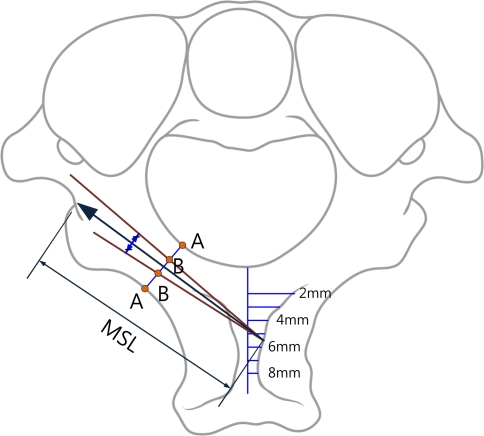 Fig. 3