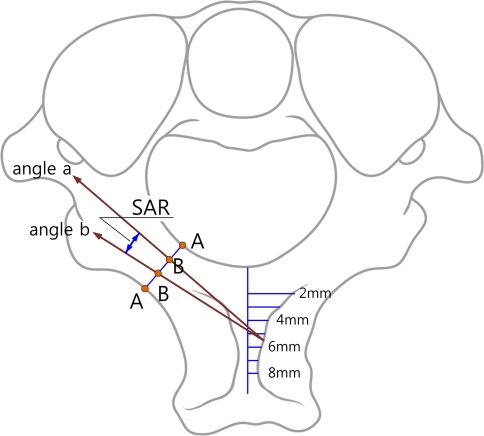 Fig. 2