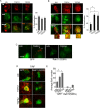 FIGURE 5: