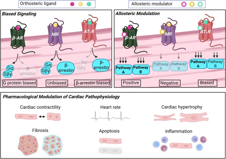 Graphical Abstract