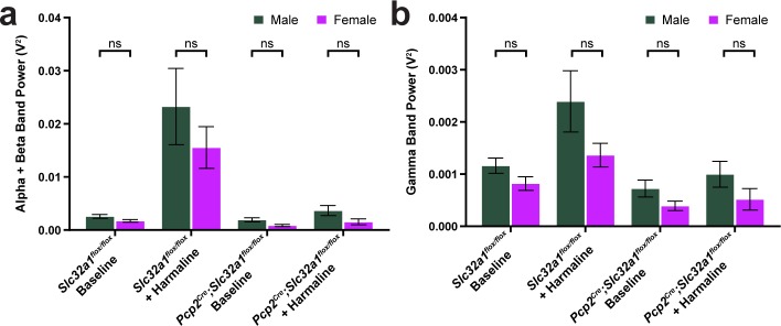 Figure 1—figure supplement 2.