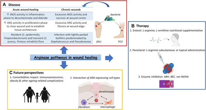 GRAPHICAL ABSTRACT