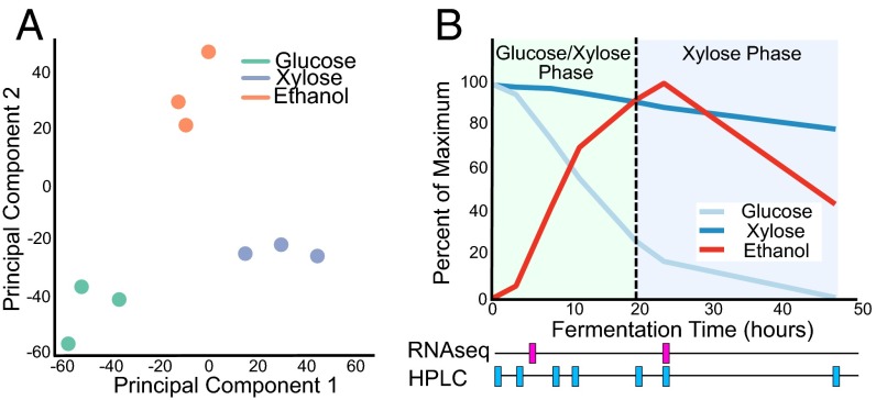 Fig. 3.