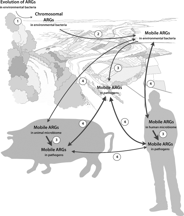 Figure 2.