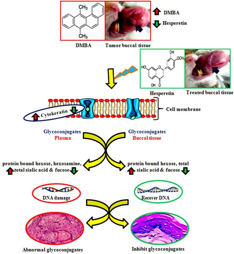 Fig. 4