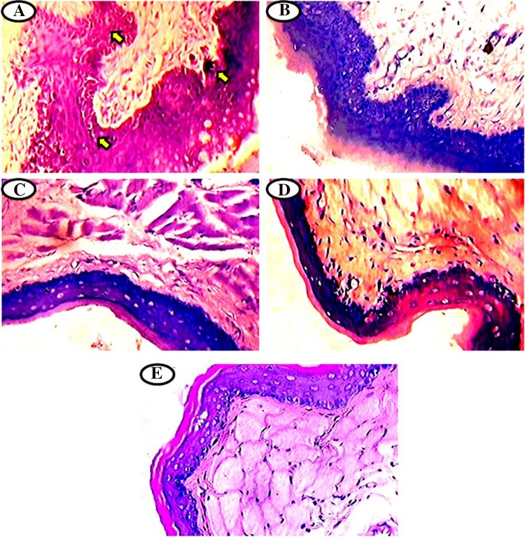 Fig. 2