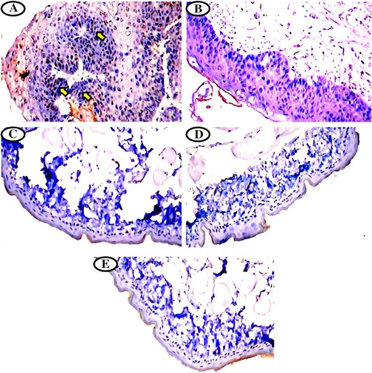 Fig. 3