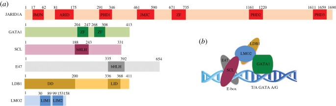 Figure 1.