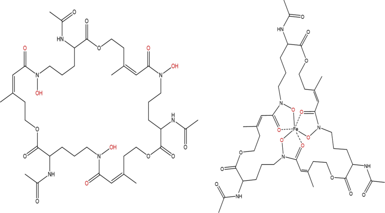 Fig. 3