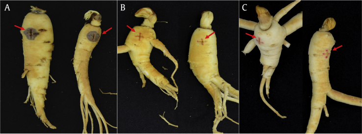 Fig. 1