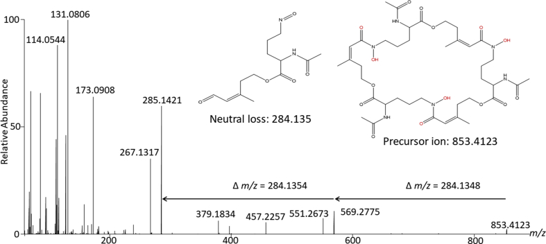 Fig. 4